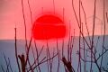 Sonnenuntergang am 21.03.26 über Rüdesheim von Ingelheim am Rhein gesehen Sonnenuntergang am 21.03.26 über Rüdesheim von Ingelheim am Rhein gesehen